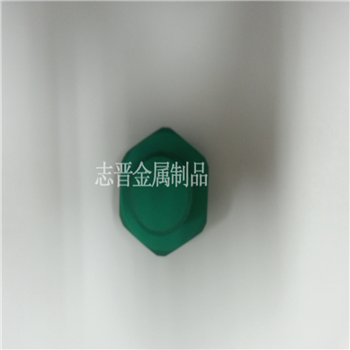 染色阳极